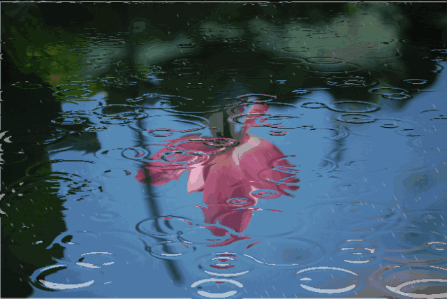 ee5f-hencxtu5948104.gif